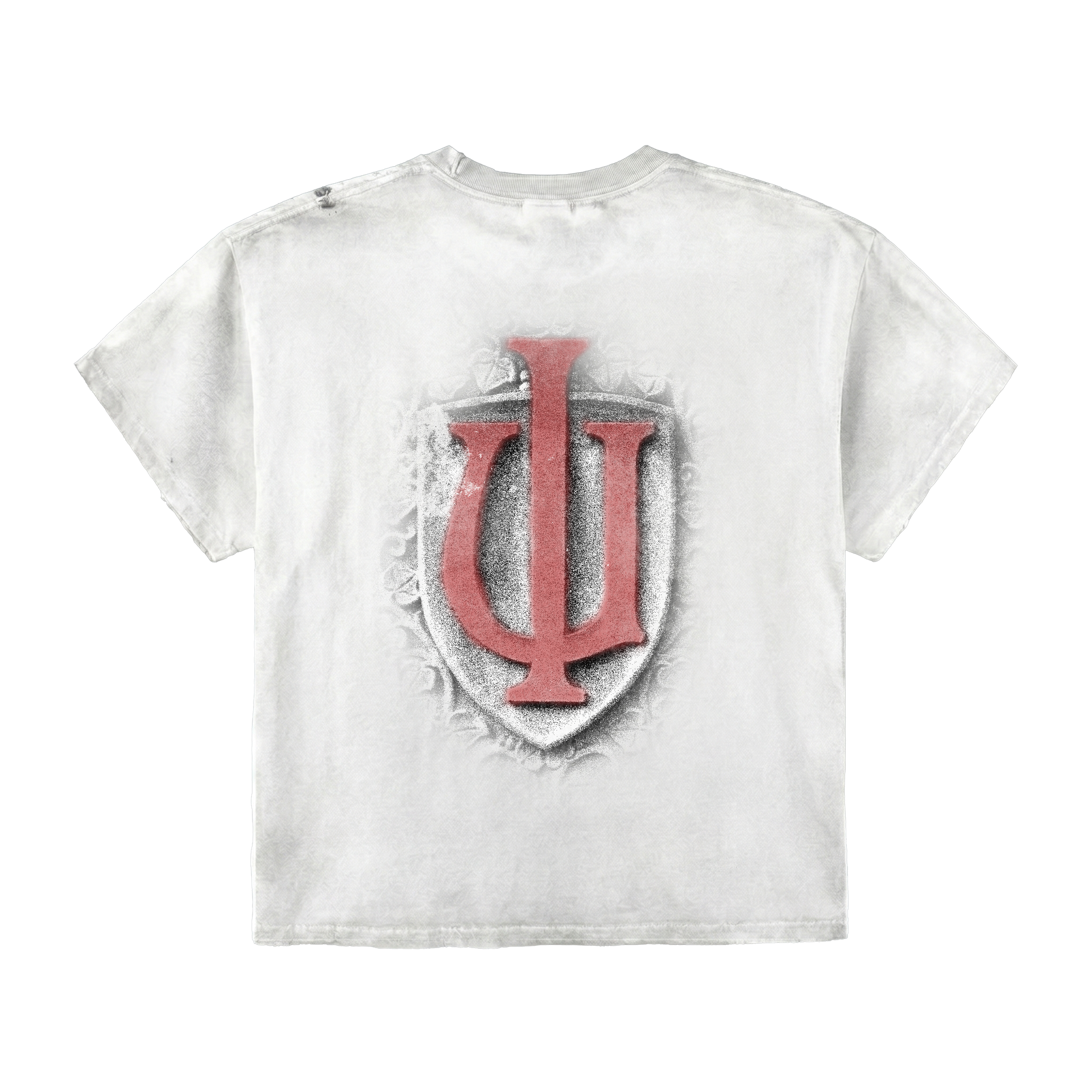 Nupes Taking Over Tee