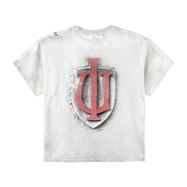 Nupes Taking Over Tee